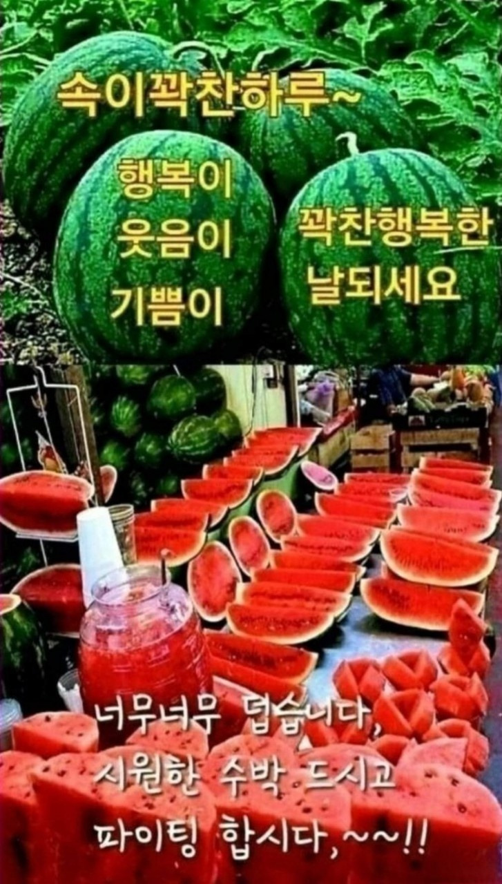 대표이미지
