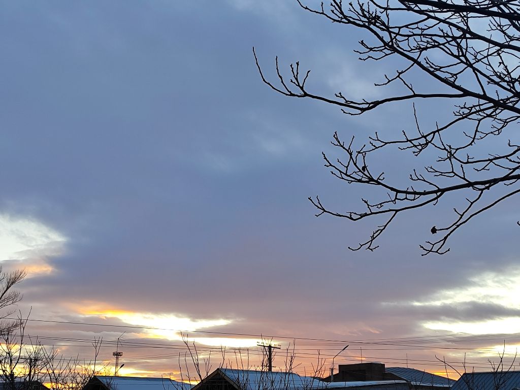 게시글 대표 이미지