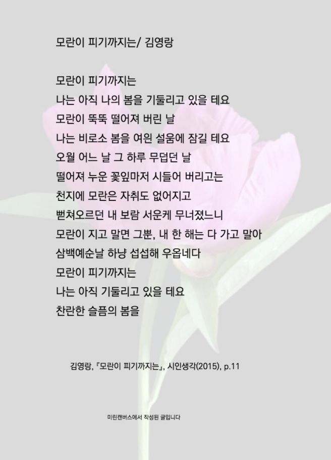 게시글 대표 이미지