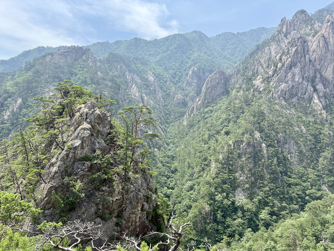 게시글 대표 이미지