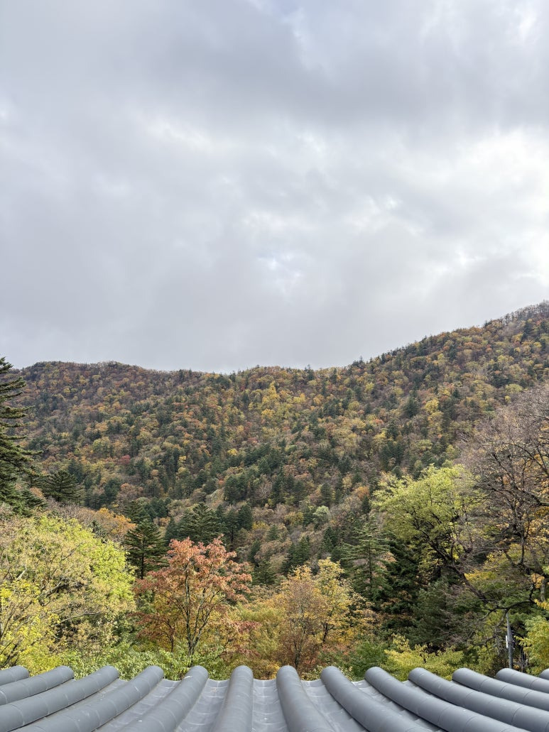 게시글 대표 이미지