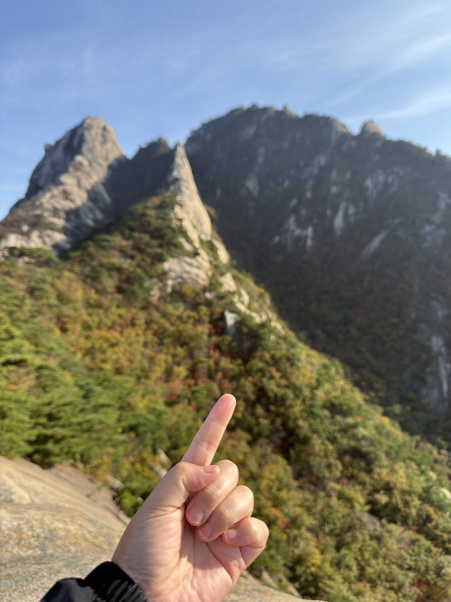 게시글 대표 이미지