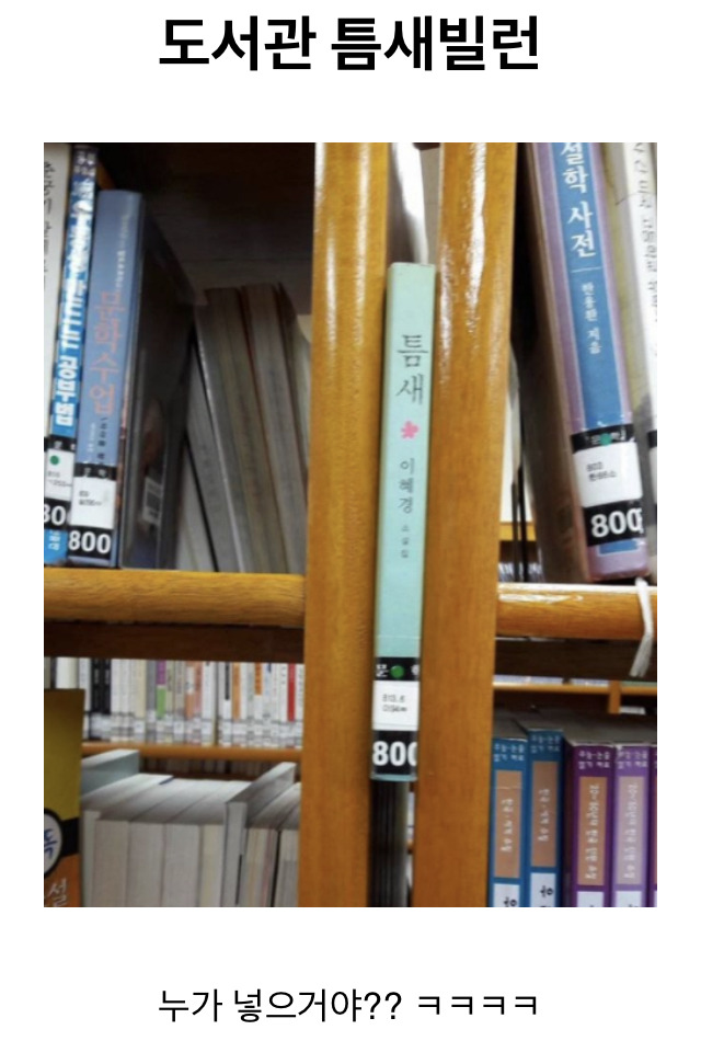 게시글 대표 이미지