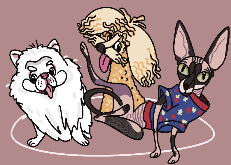 게시글 대표 이미지