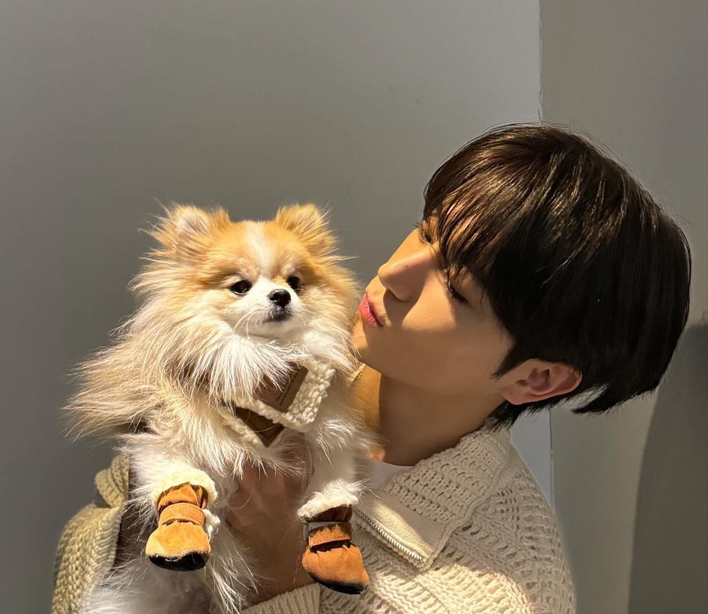 게시글 대표 이미지