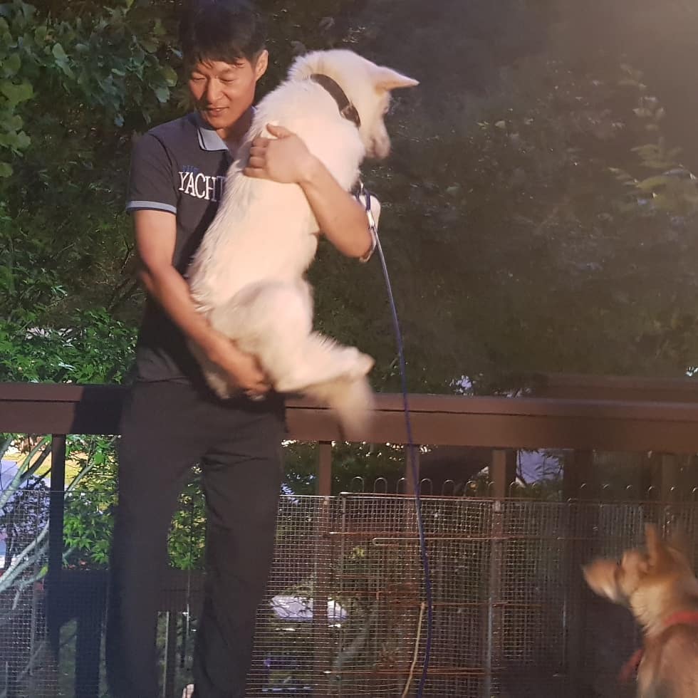 게시글 대표 이미지