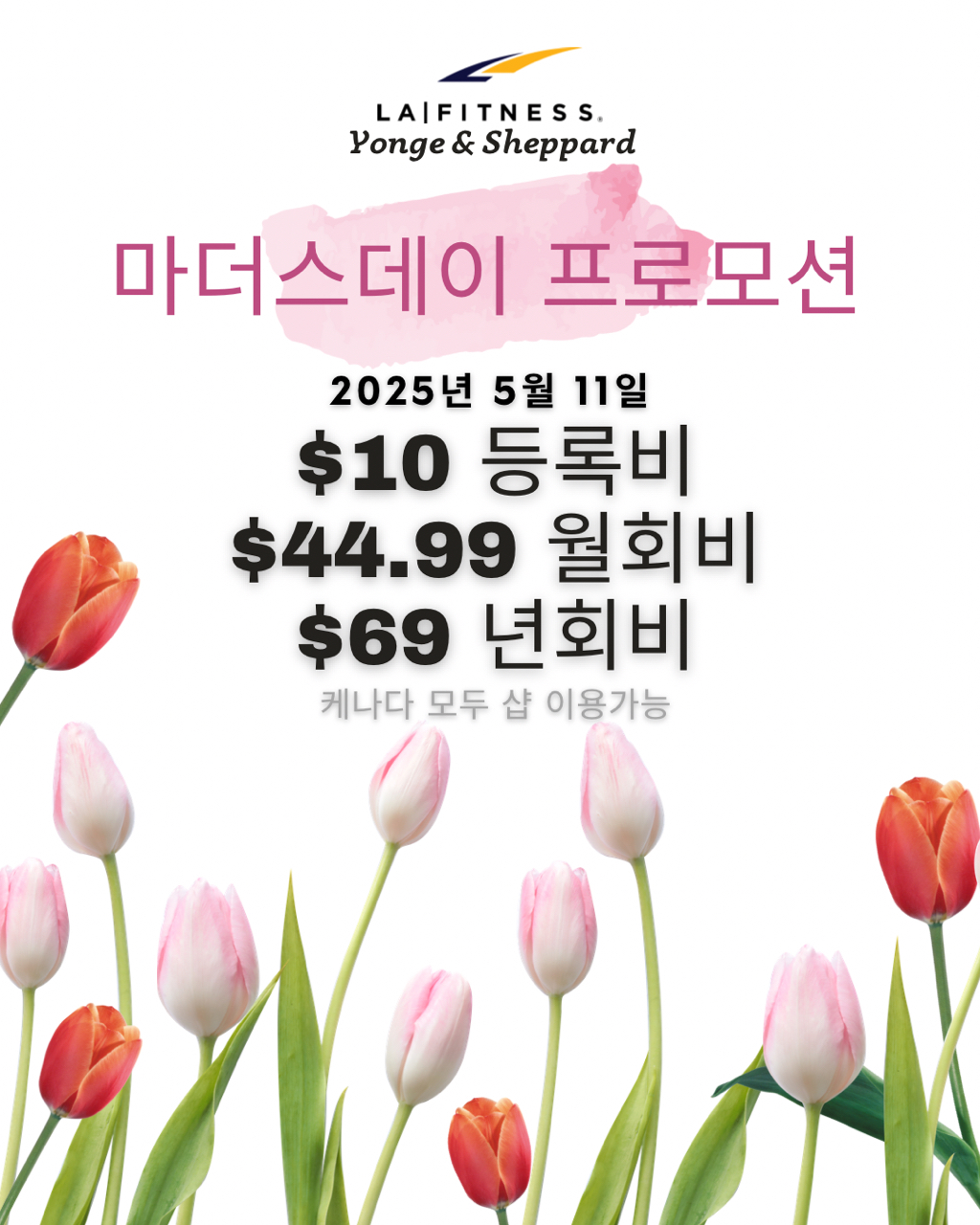 게시글 대표 이미지