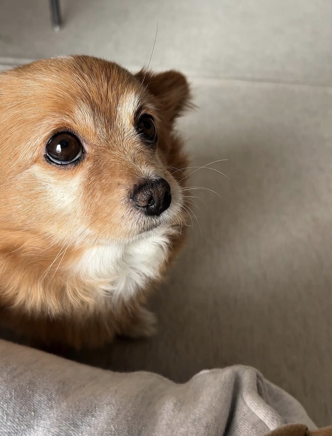 게시글 대표 이미지