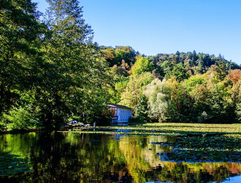 게시글 대표 이미지