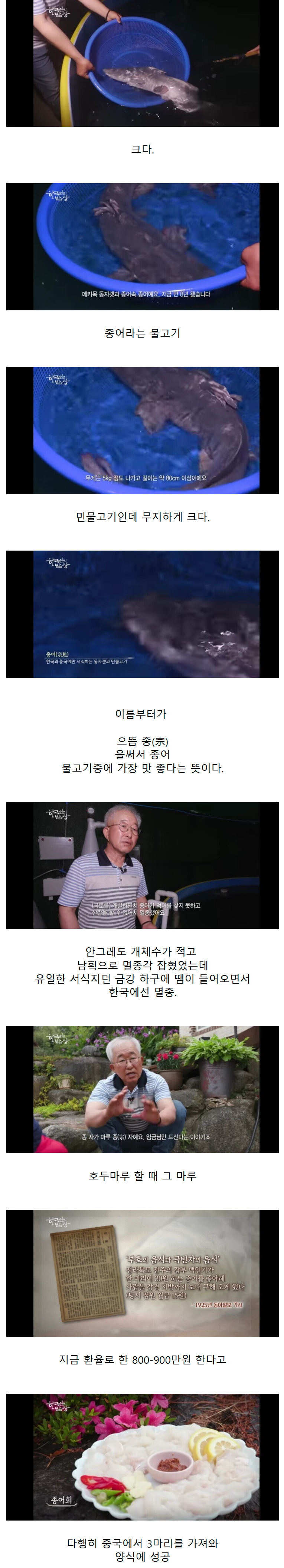 게시글 대표 이미지