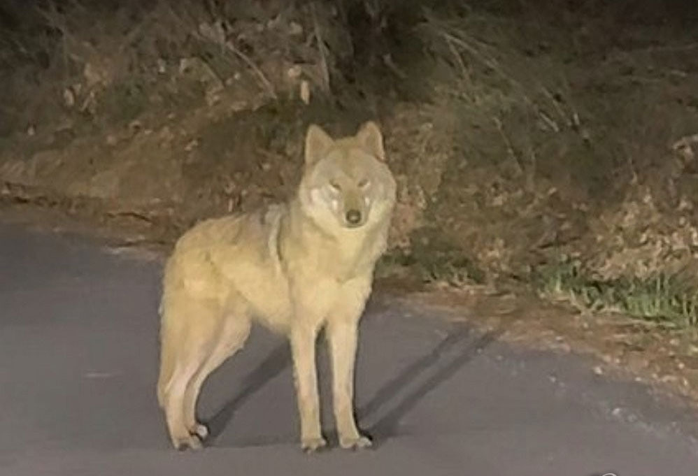 게시글 대표 이미지