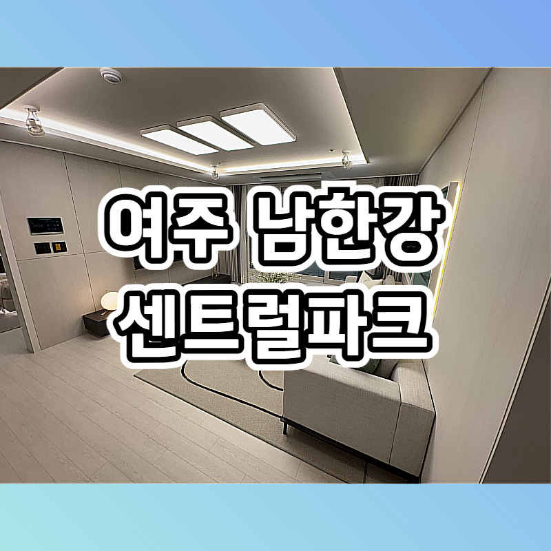 대표이미지