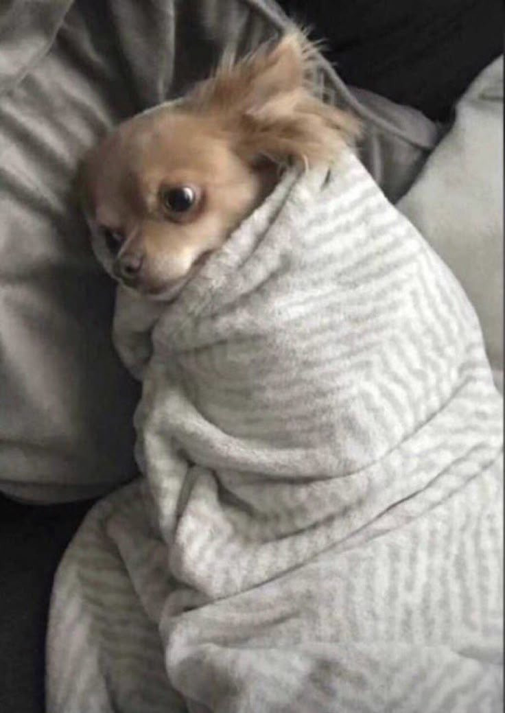 게시글 대표 이미지