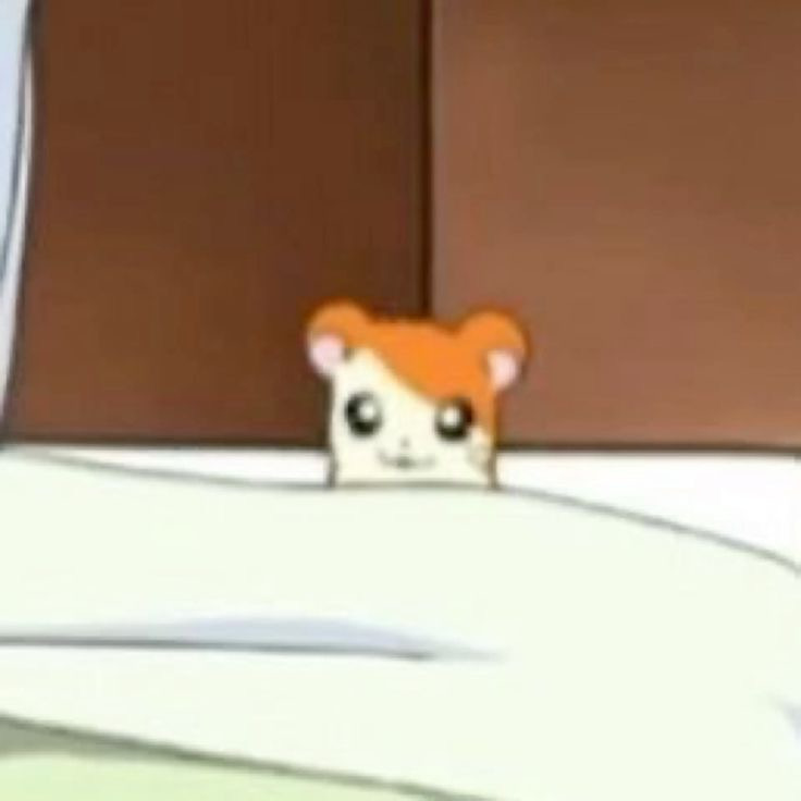 게시글 대표 이미지