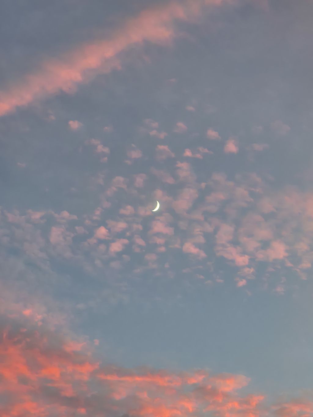 게시글 대표 이미지