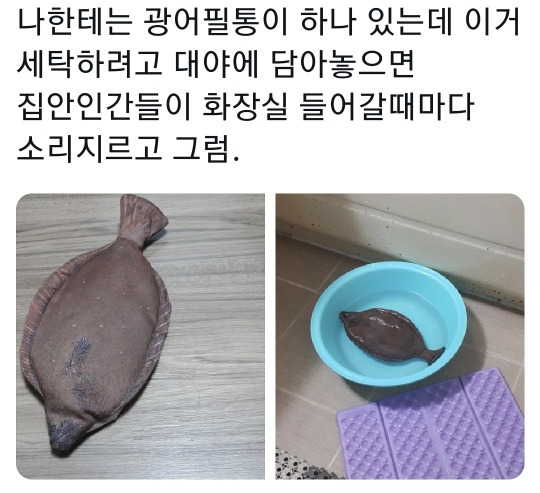 게시글 대표 이미지