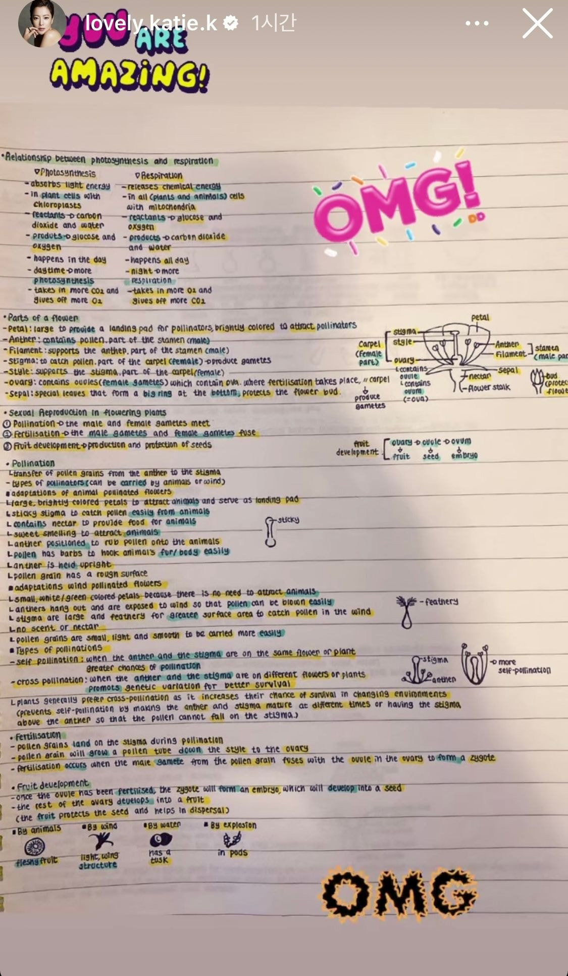 게시글 대표 이미지