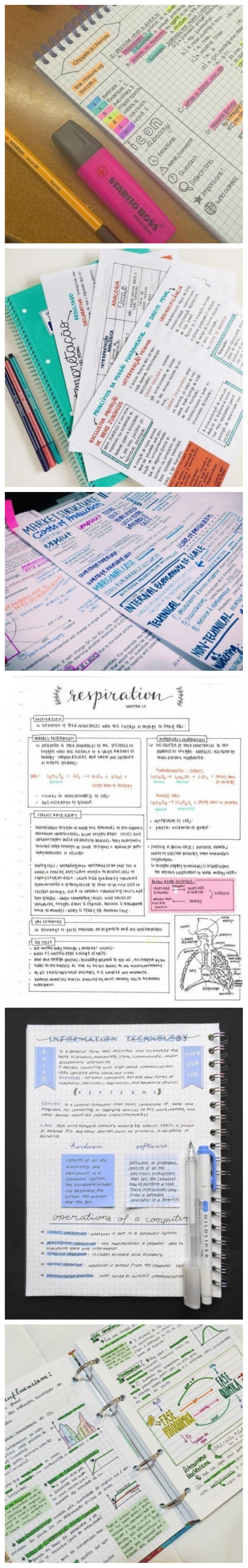 게시글 대표 이미지