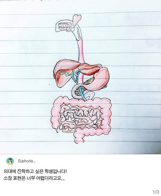 게시글 대표 이미지