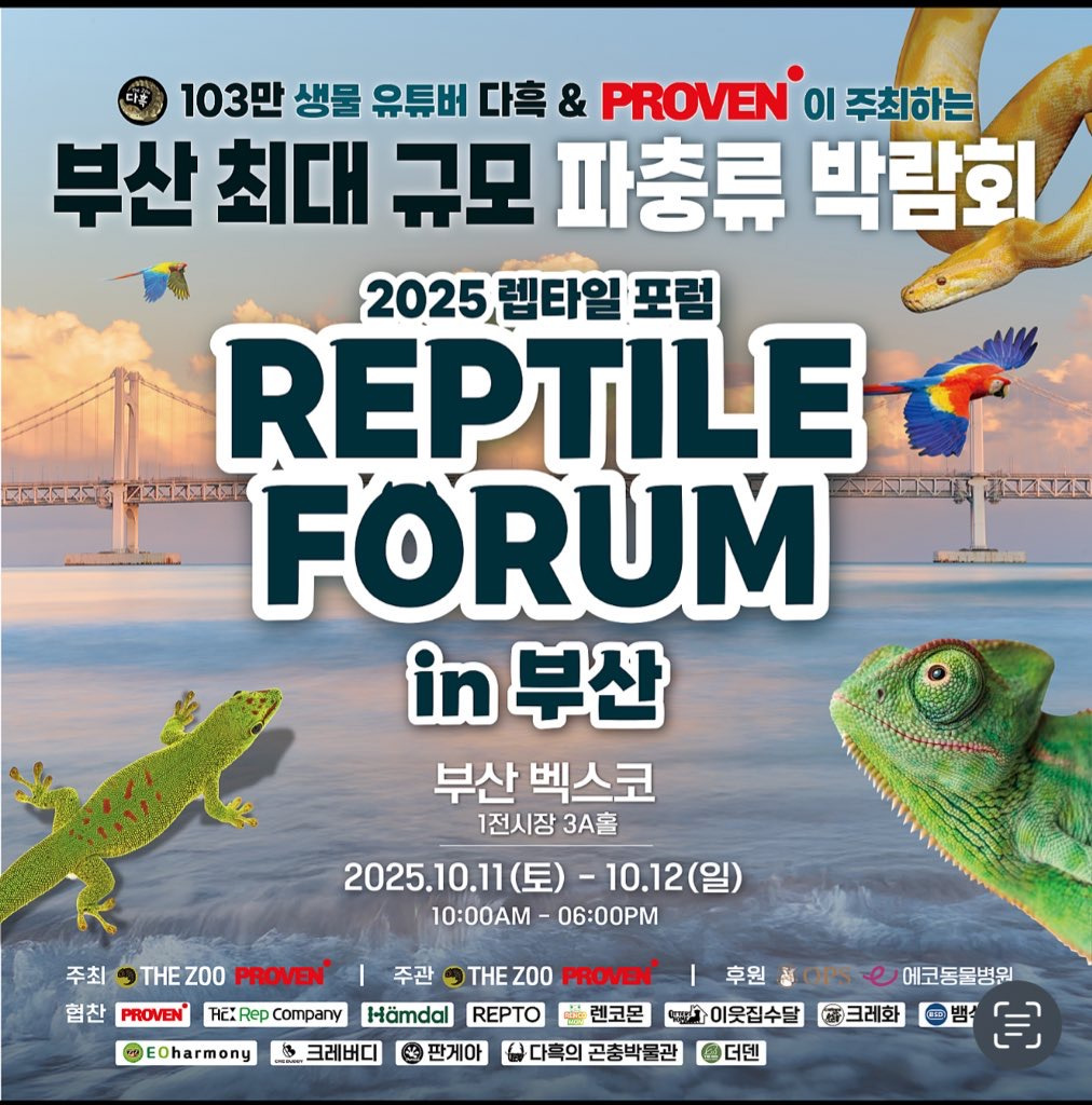 게시글 대표 이미지