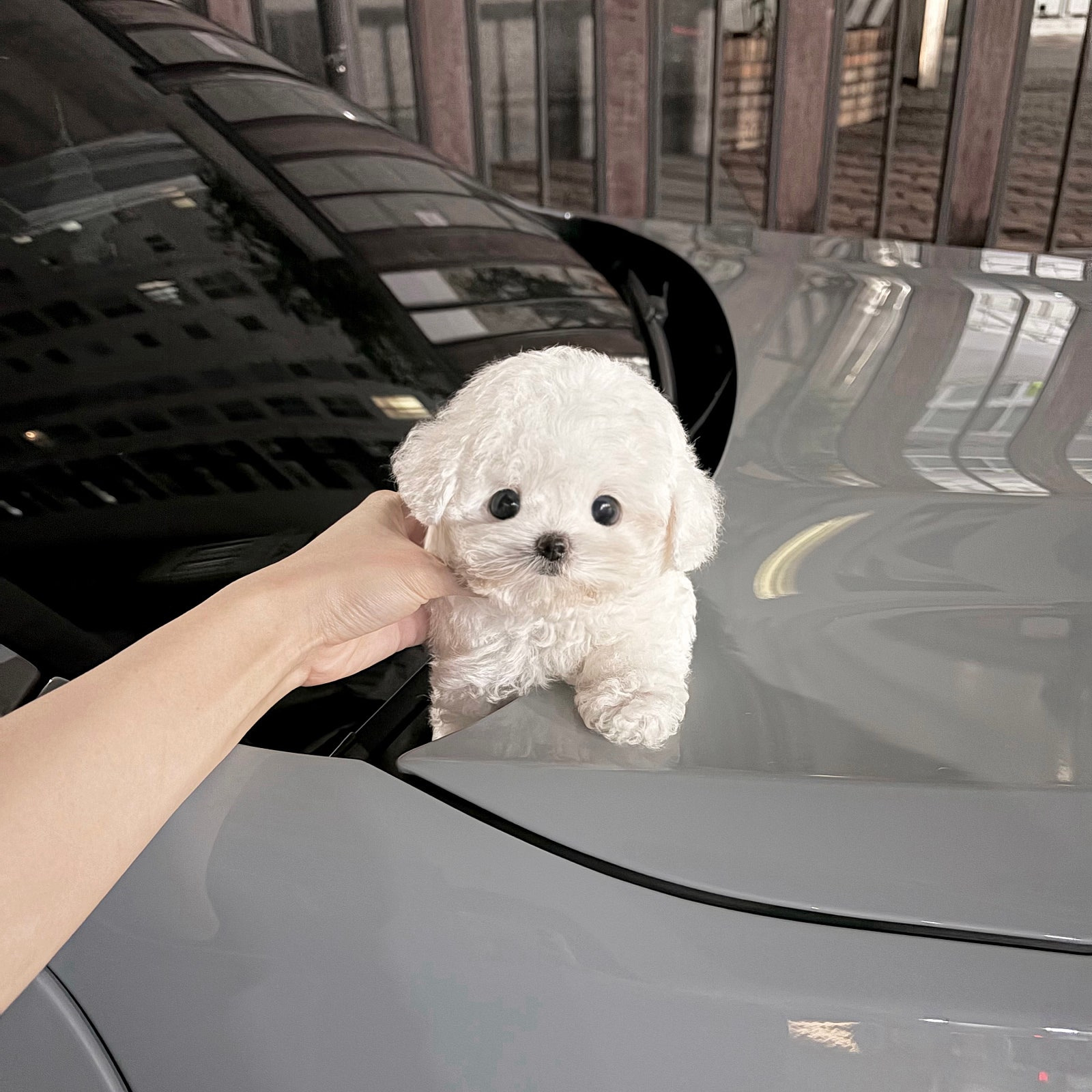 게시글 대표 이미지