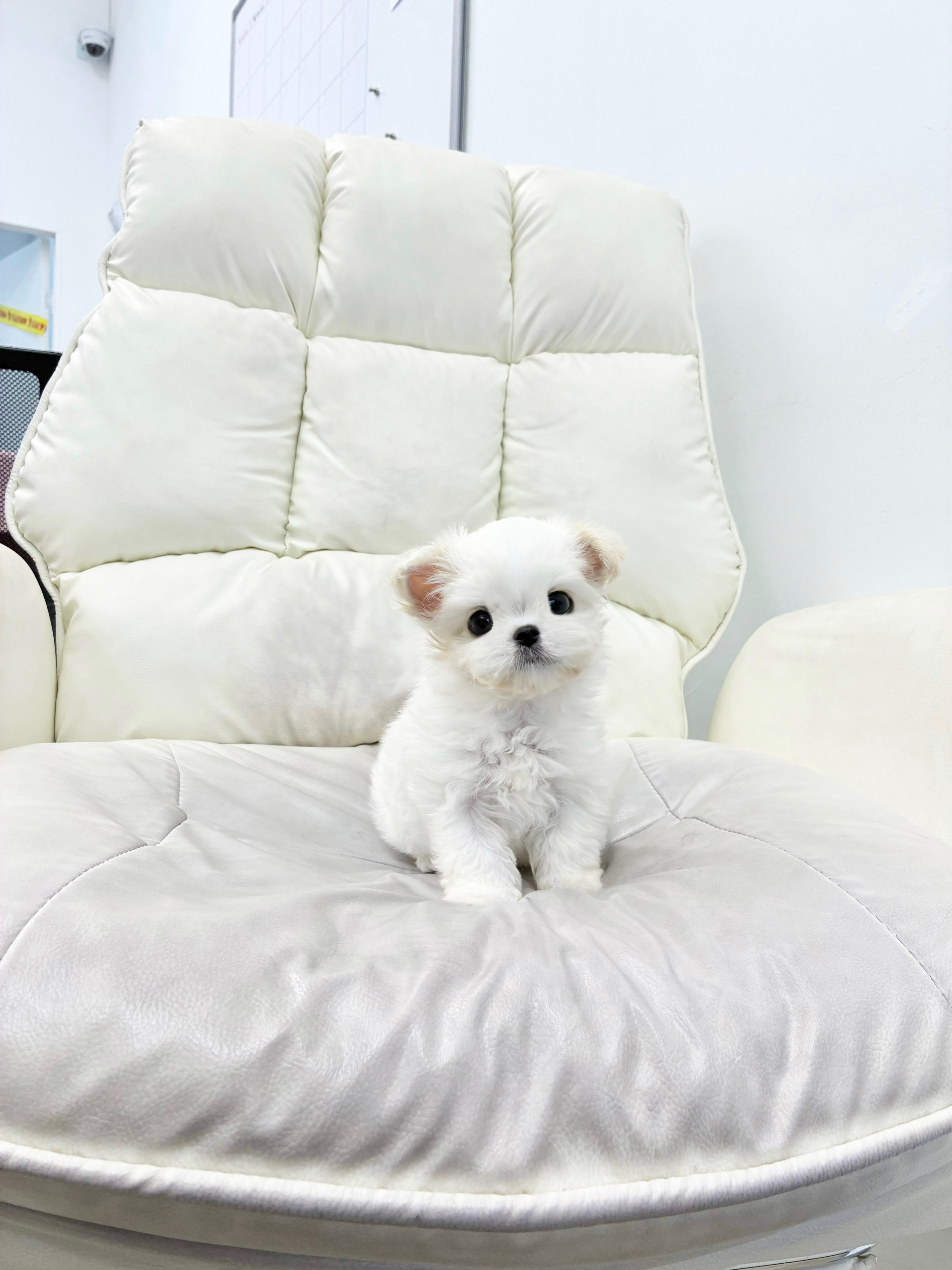 게시글 대표 이미지