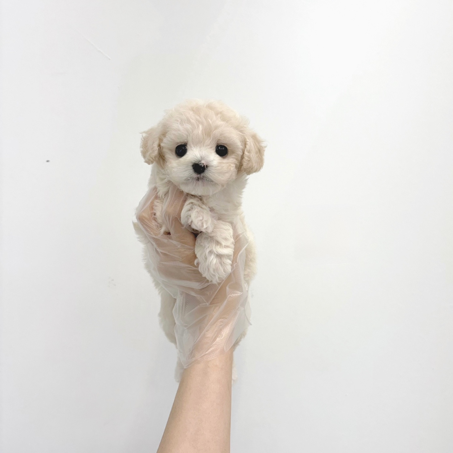 게시글 대표 이미지