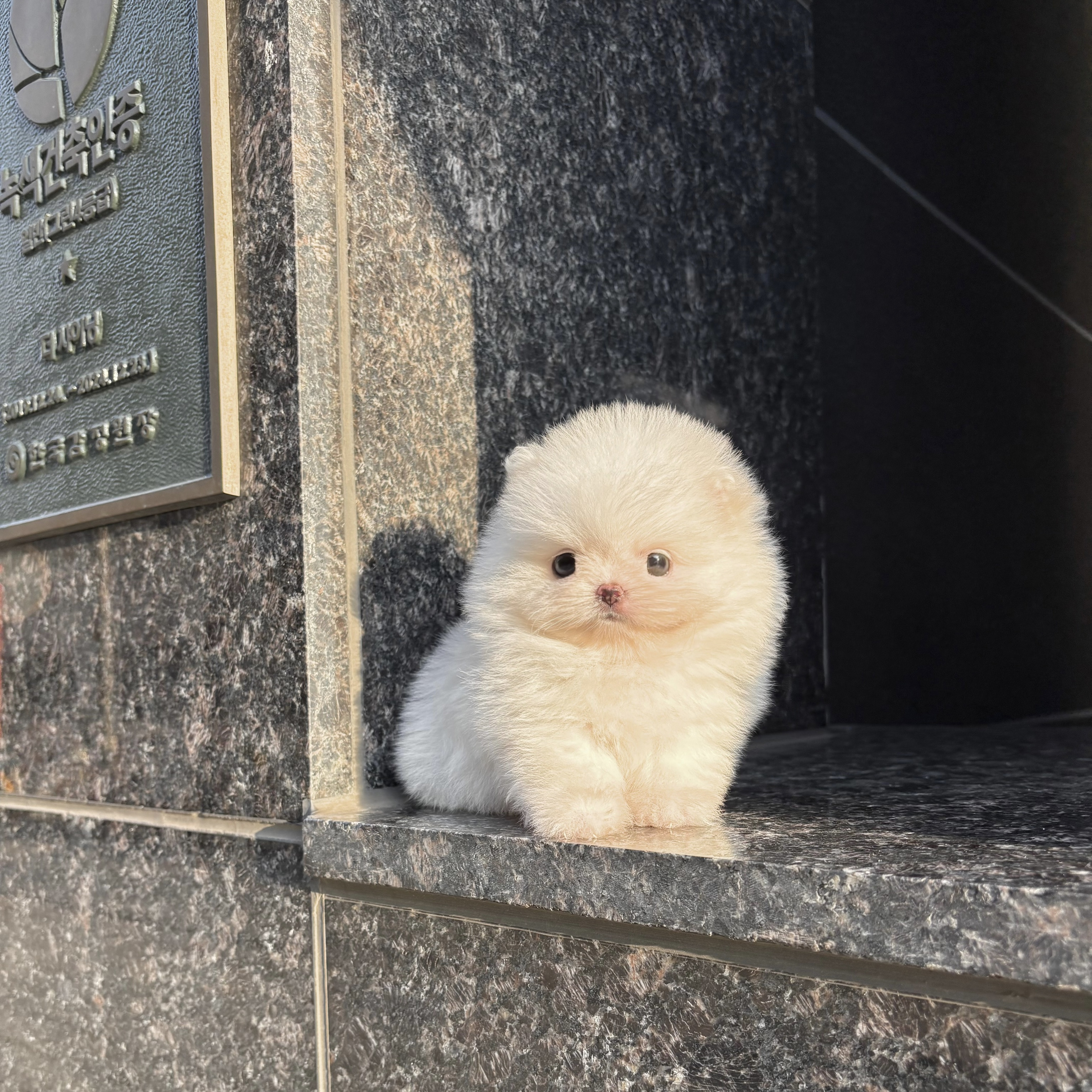 게시글 대표 이미지