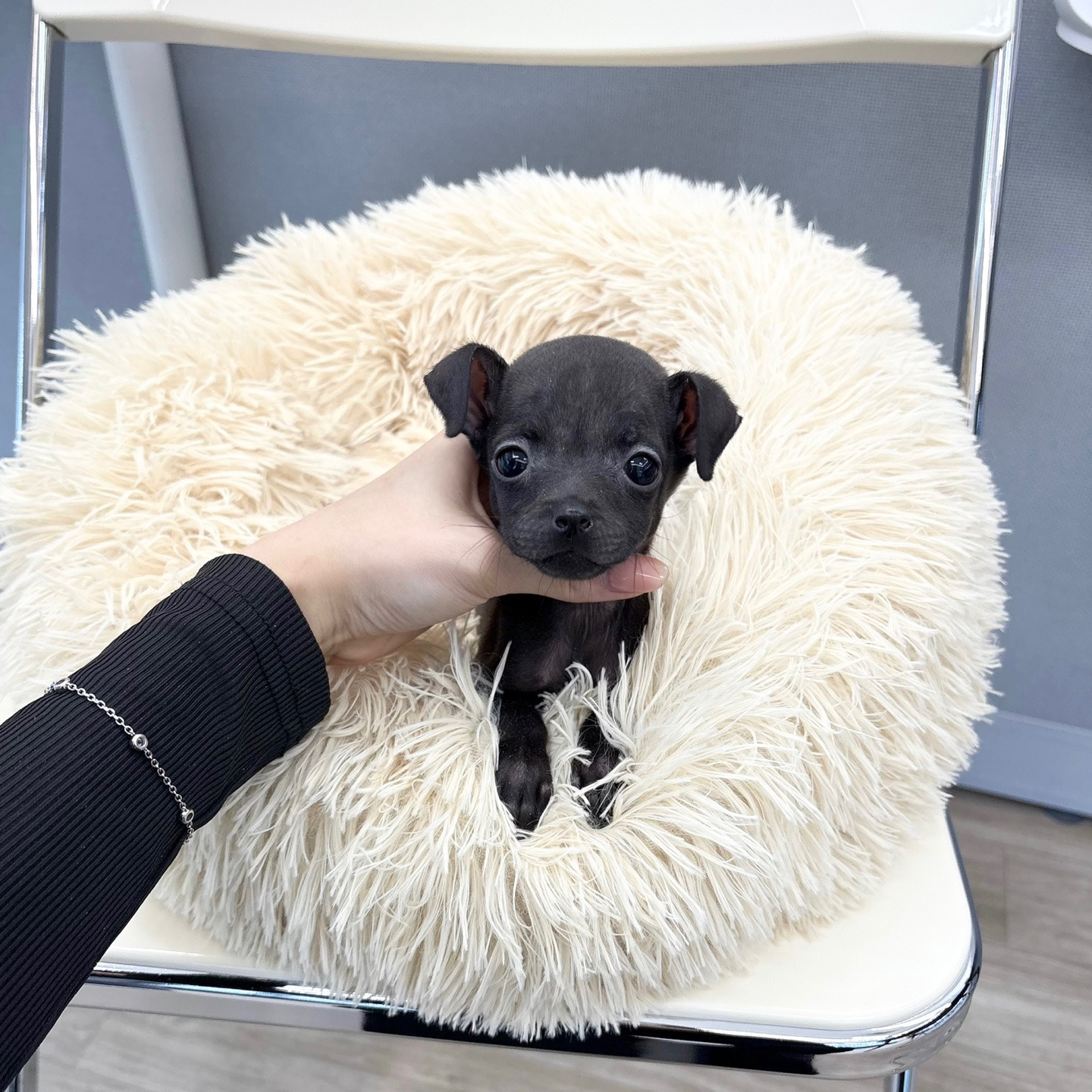 게시글 대표 이미지