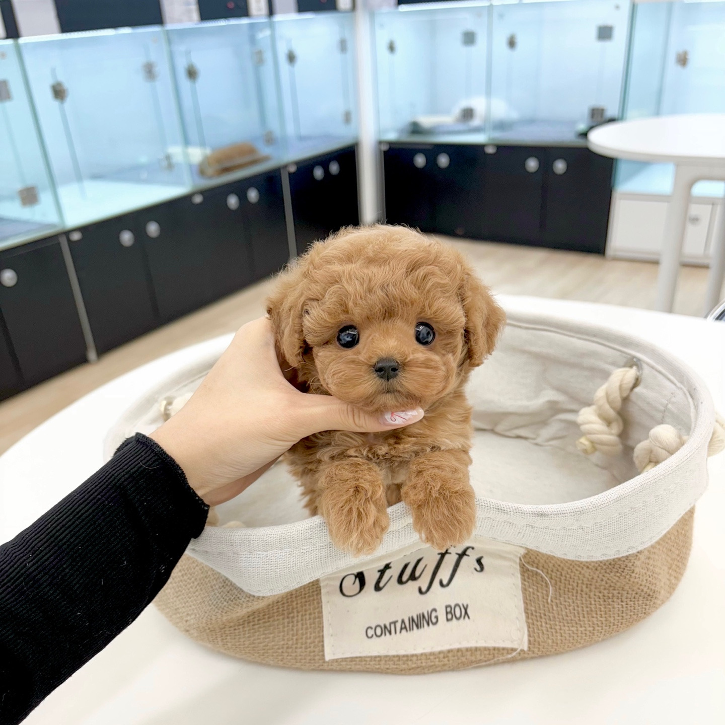 게시글 대표 이미지