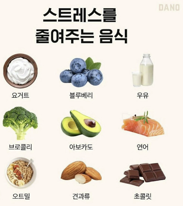 게시글 대표 이미지