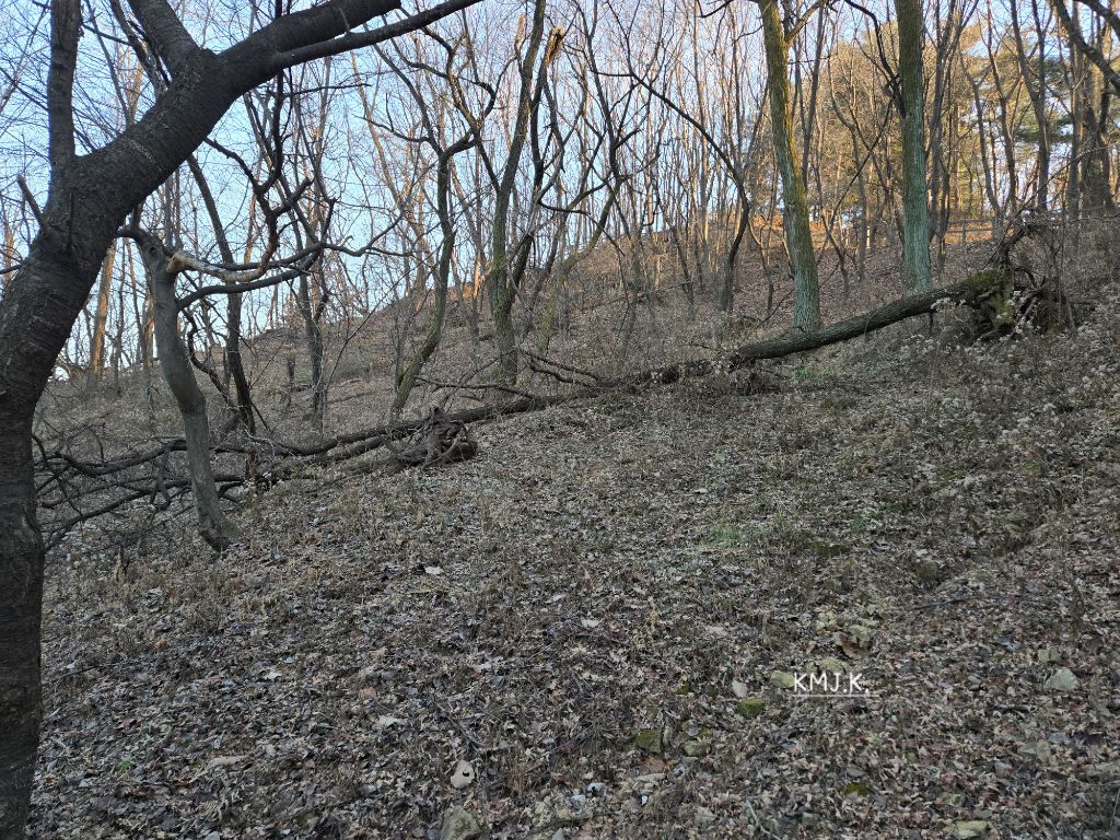 게시글 대표 이미지