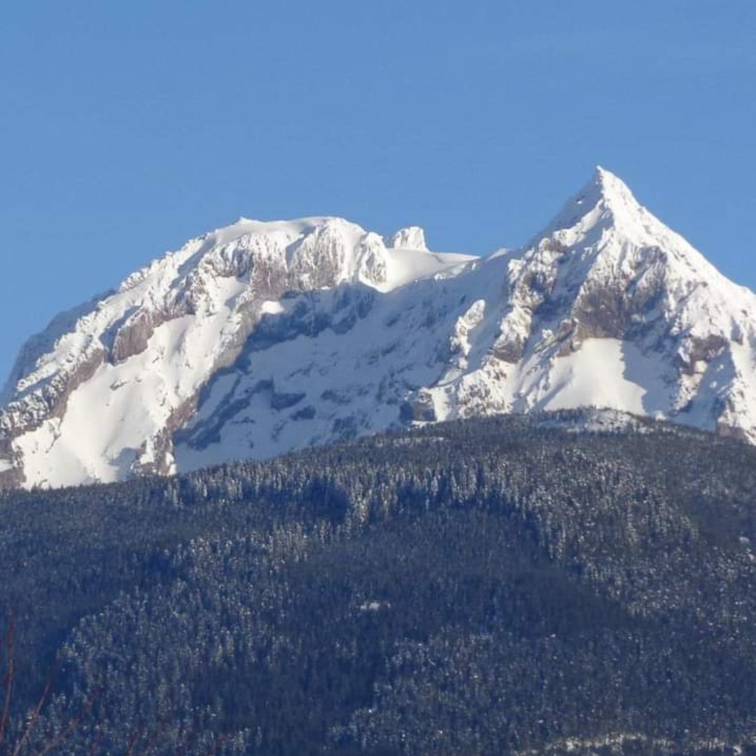 테이블 소개 이미지