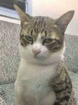 테이블 소개 이미지