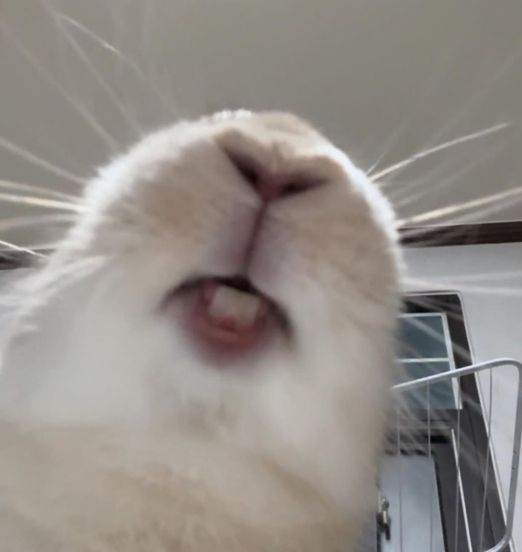 테이블 소개 이미지