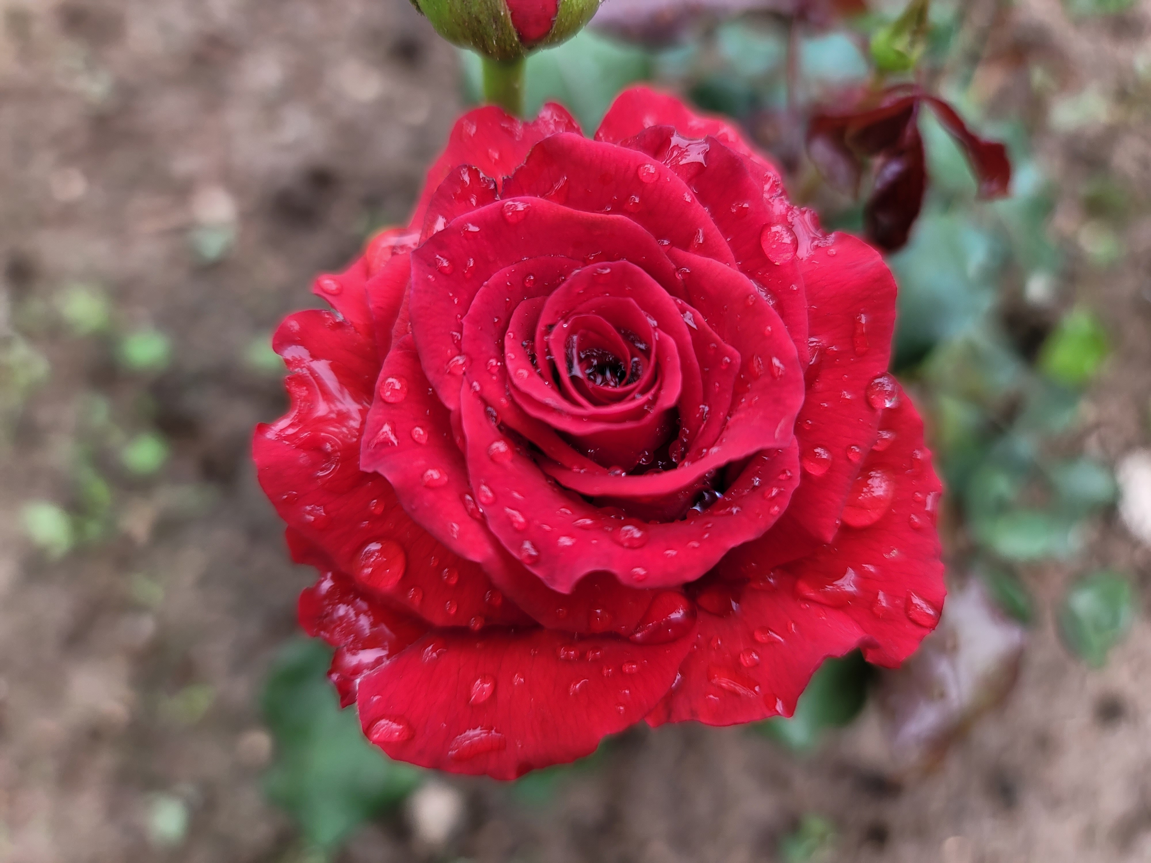 테이블 소개 이미지