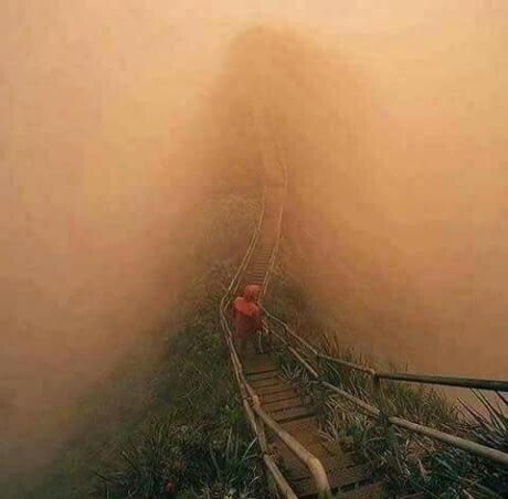 테이블 소개 이미지