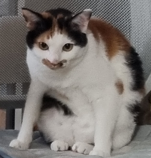 테이블 소개 이미지