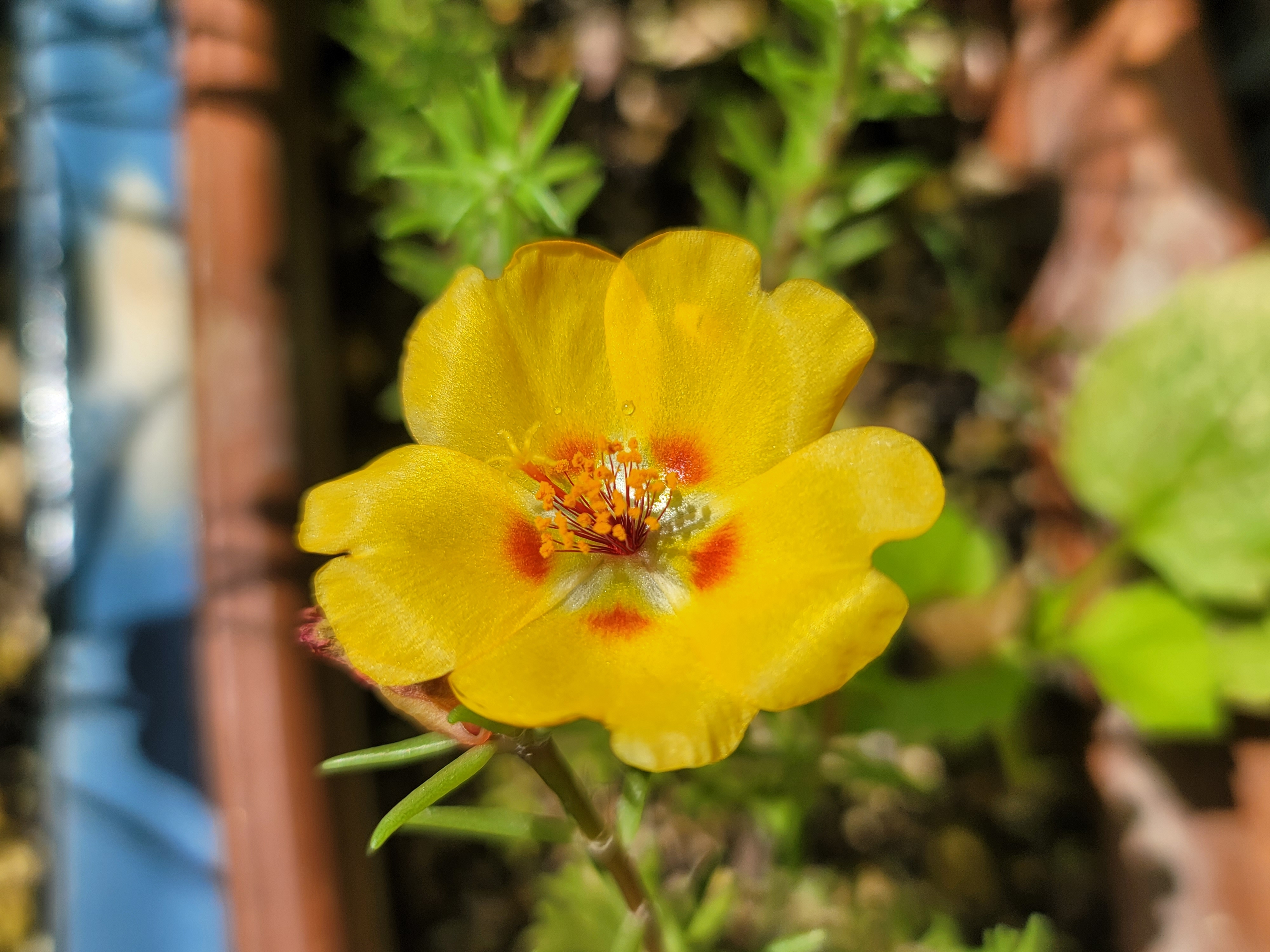 테이블 소개 이미지