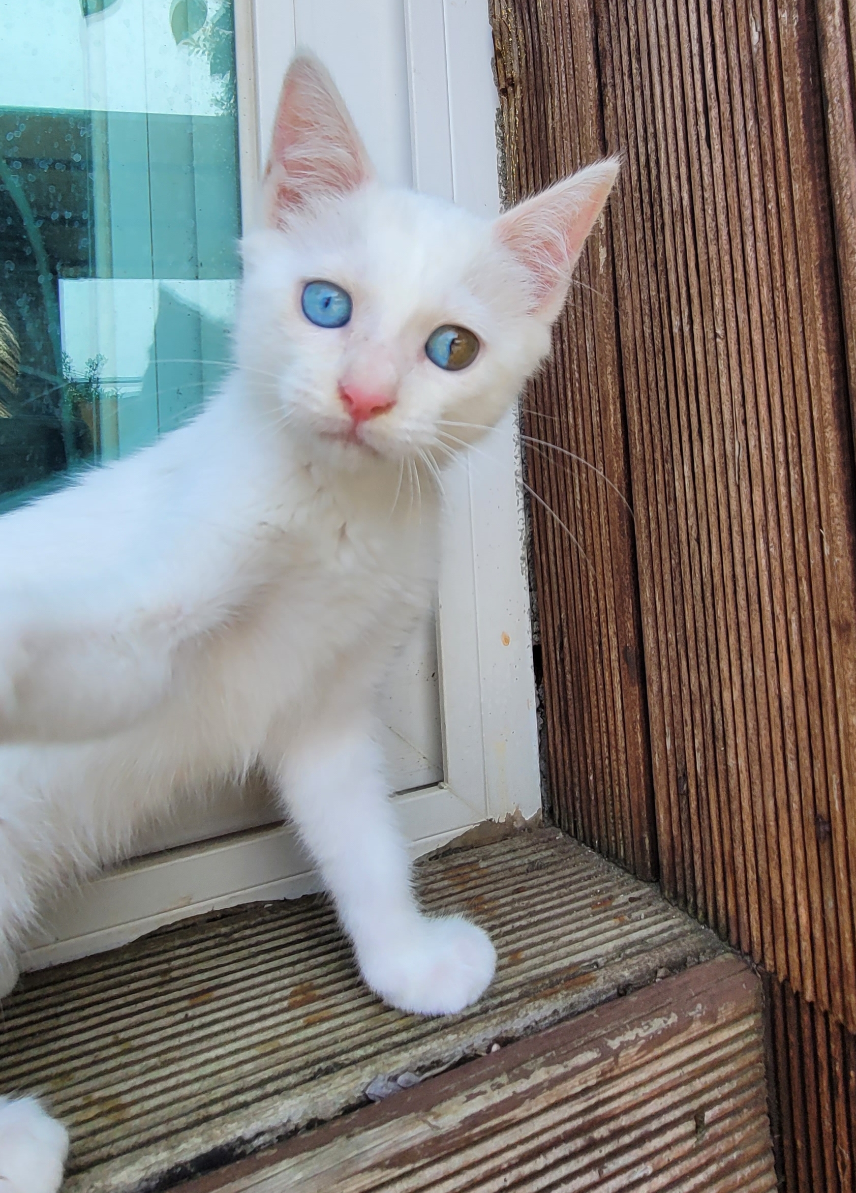 테이블 소개 이미지