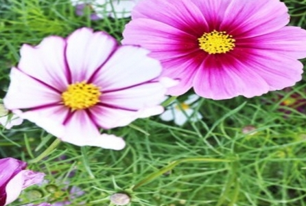 테이블 소개 이미지