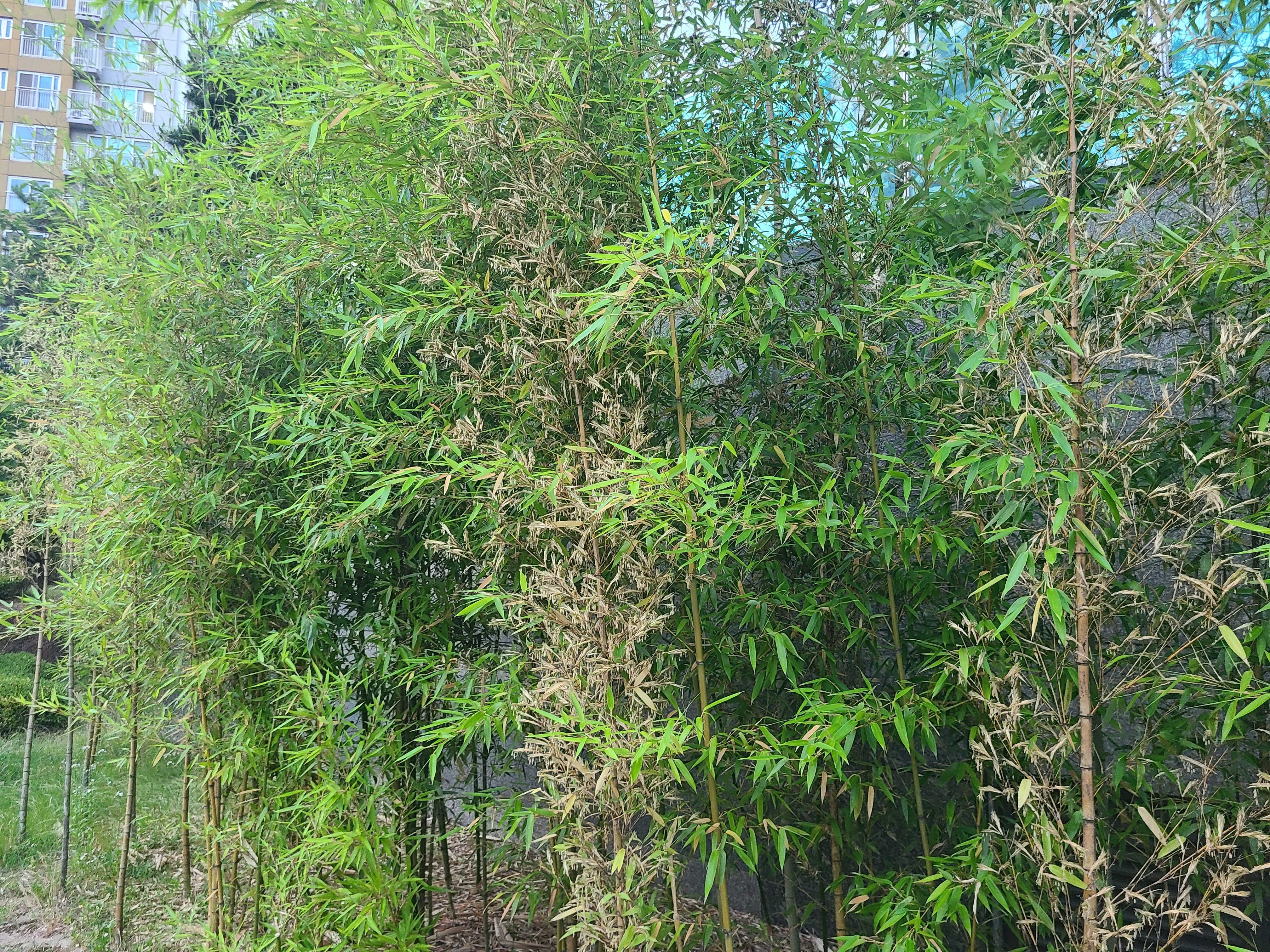 테이블 대표이미지