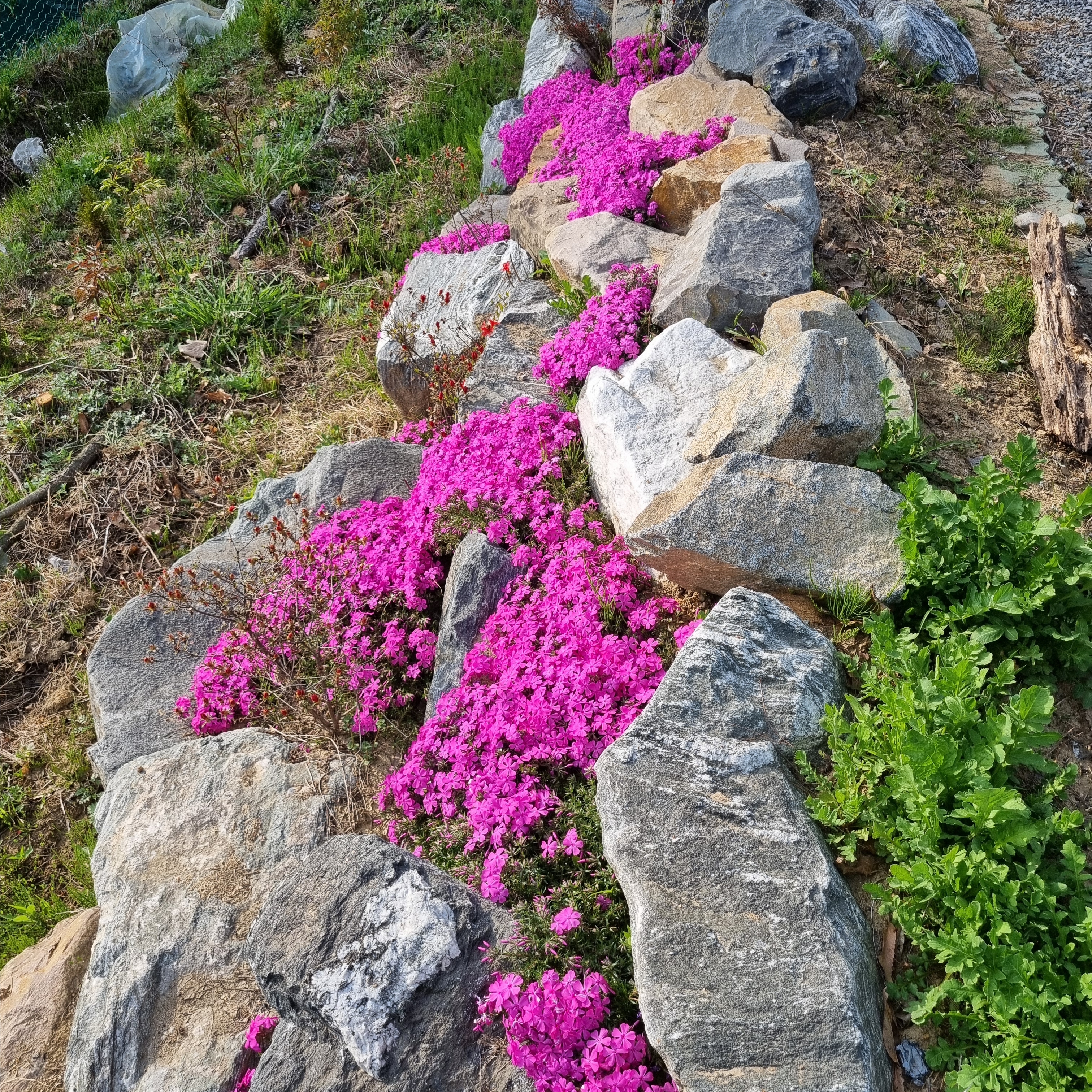 테이블 소개 이미지