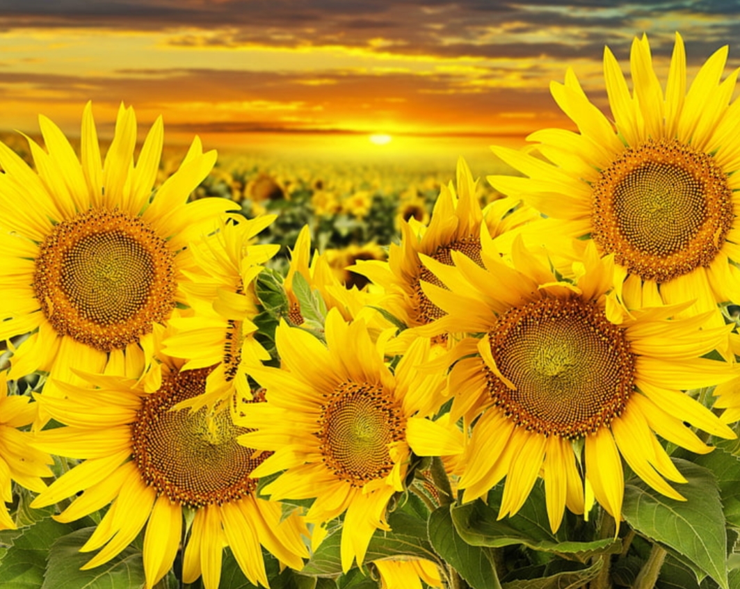 테이블 소개 이미지