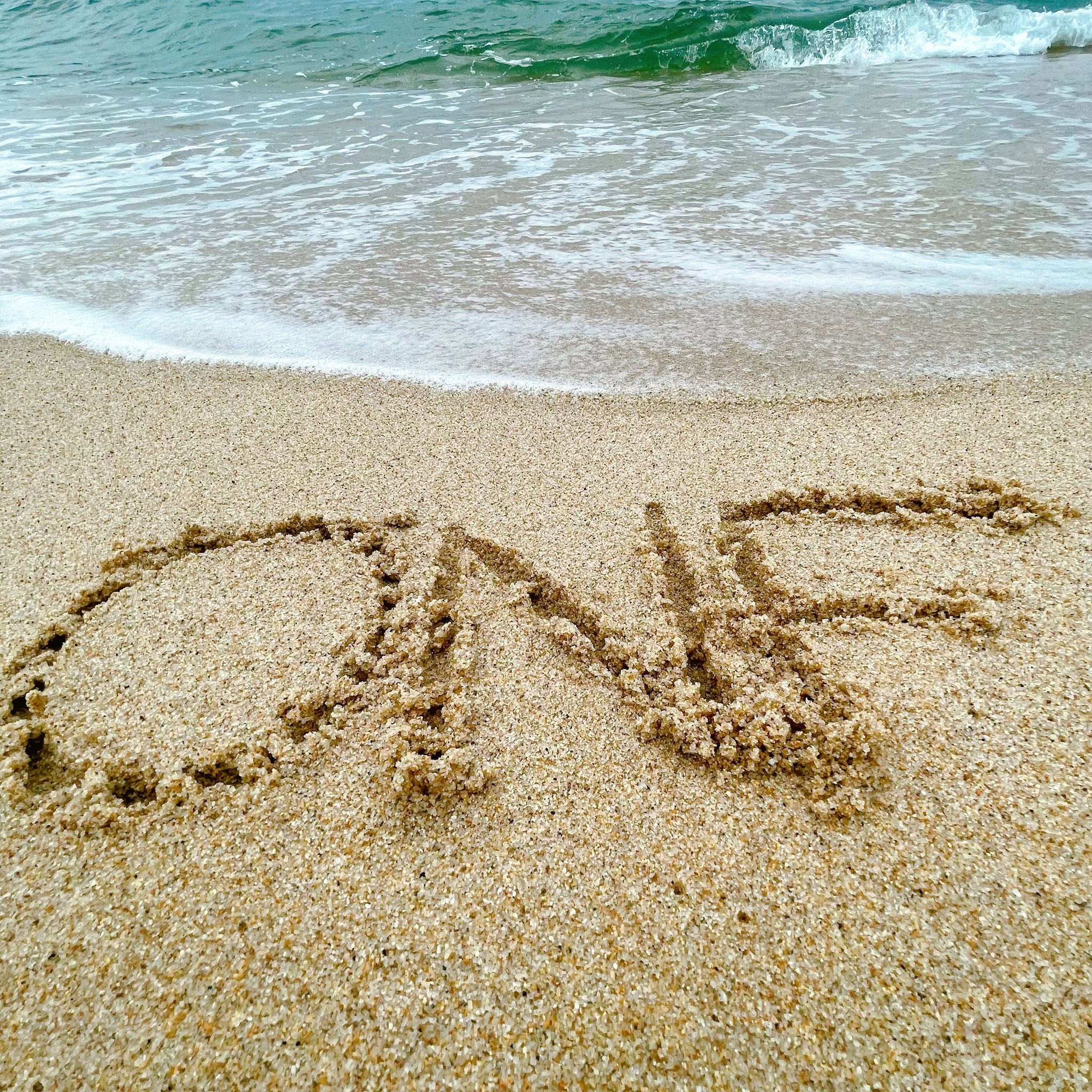 테이블 소개 이미지