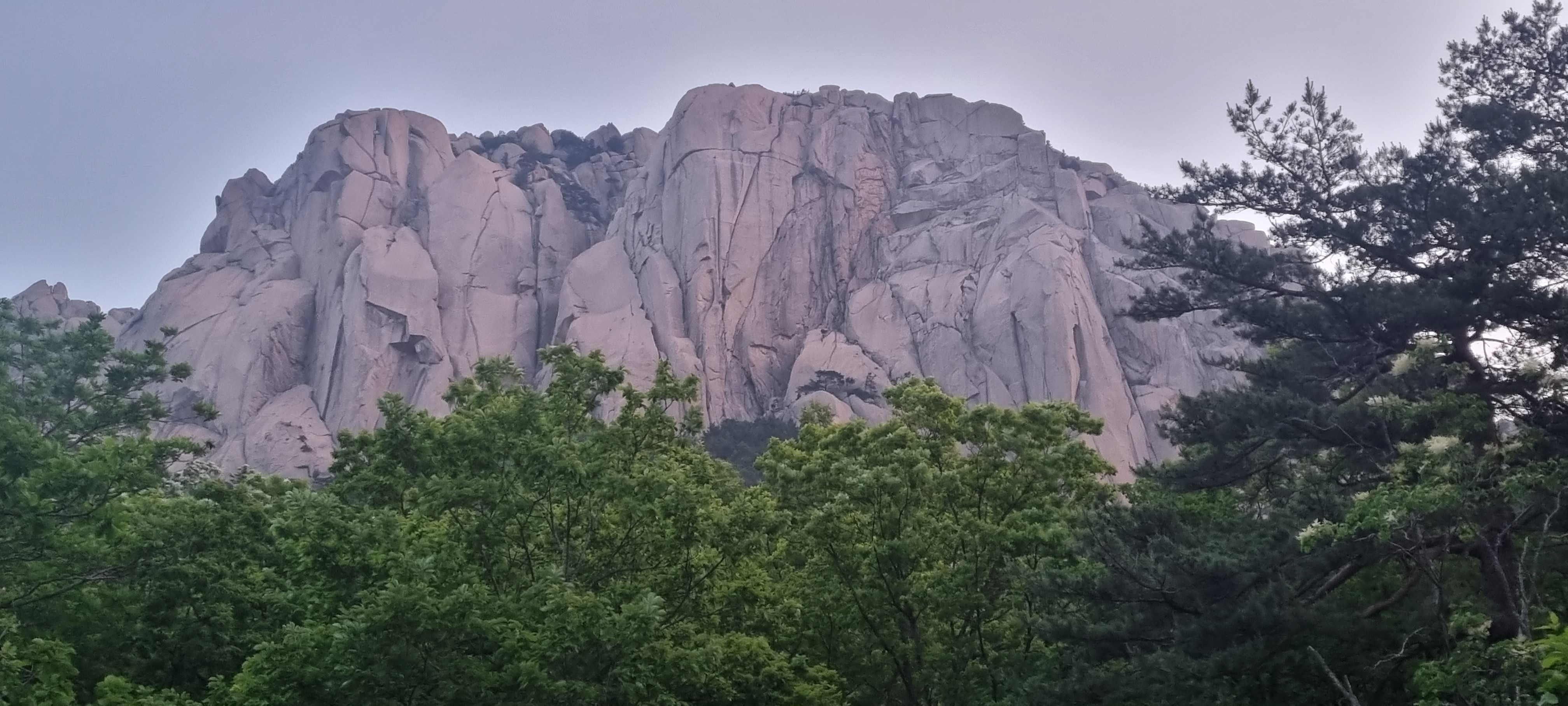 테이블 소개 이미지