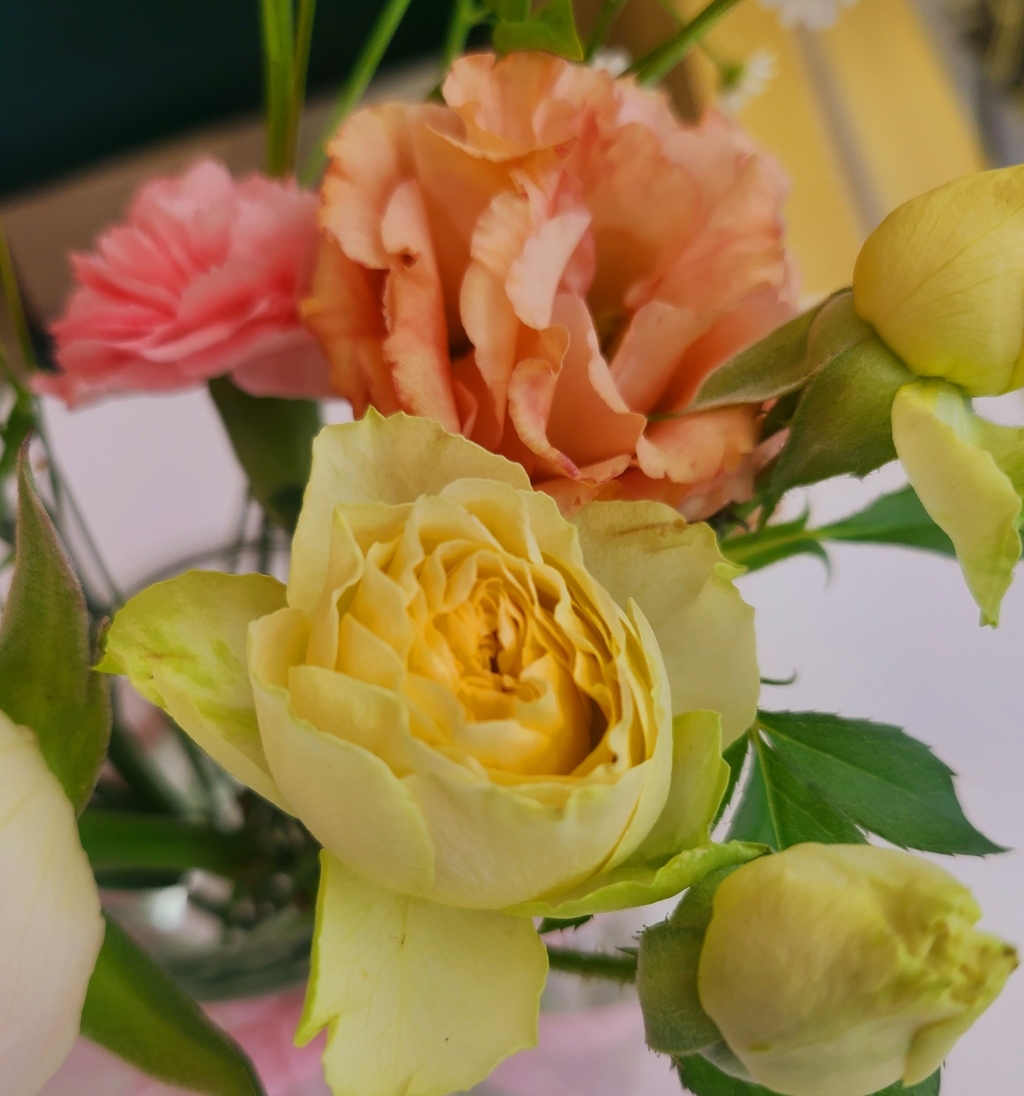 테이블 대표이미지