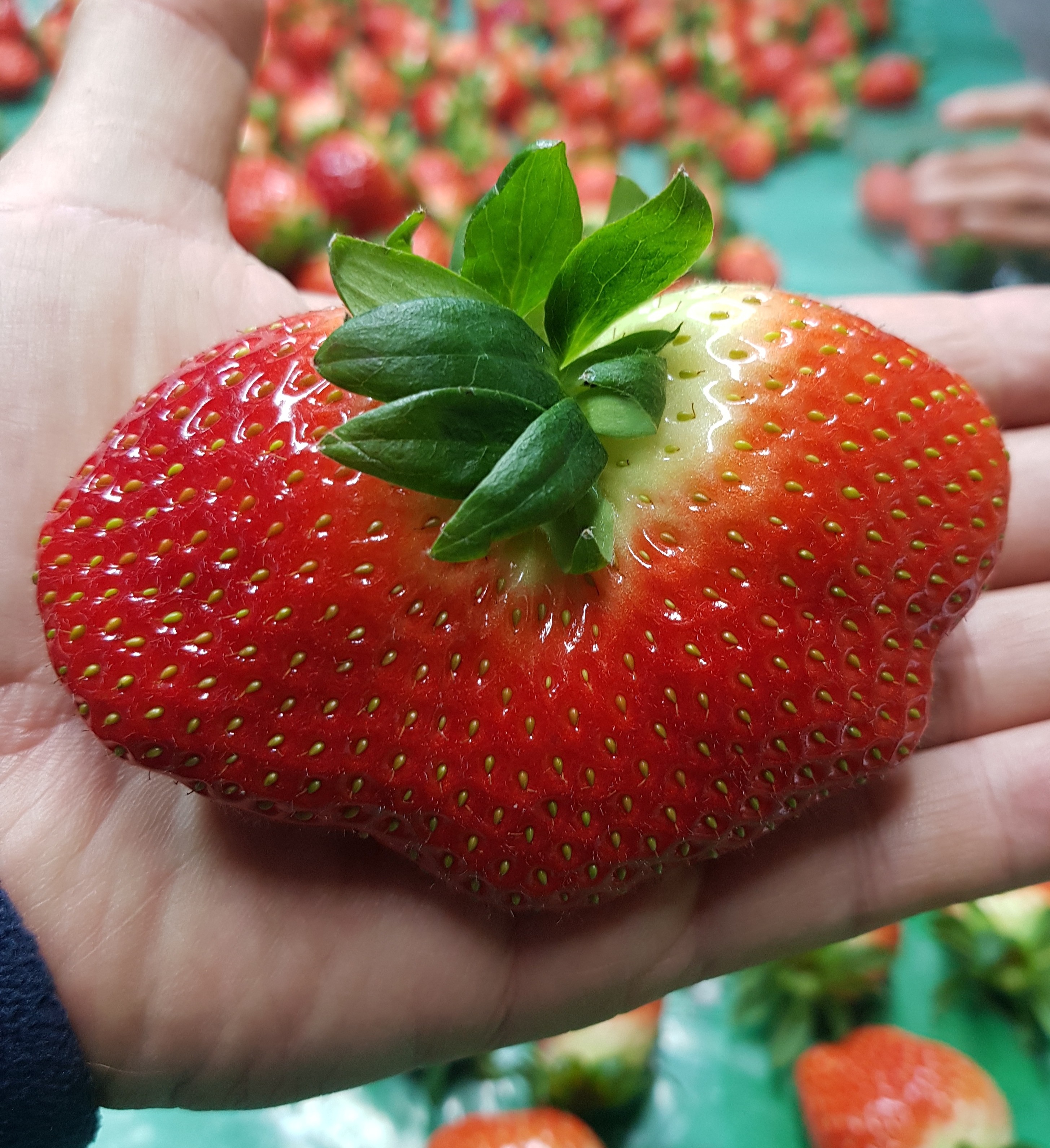 테이블 소개 이미지