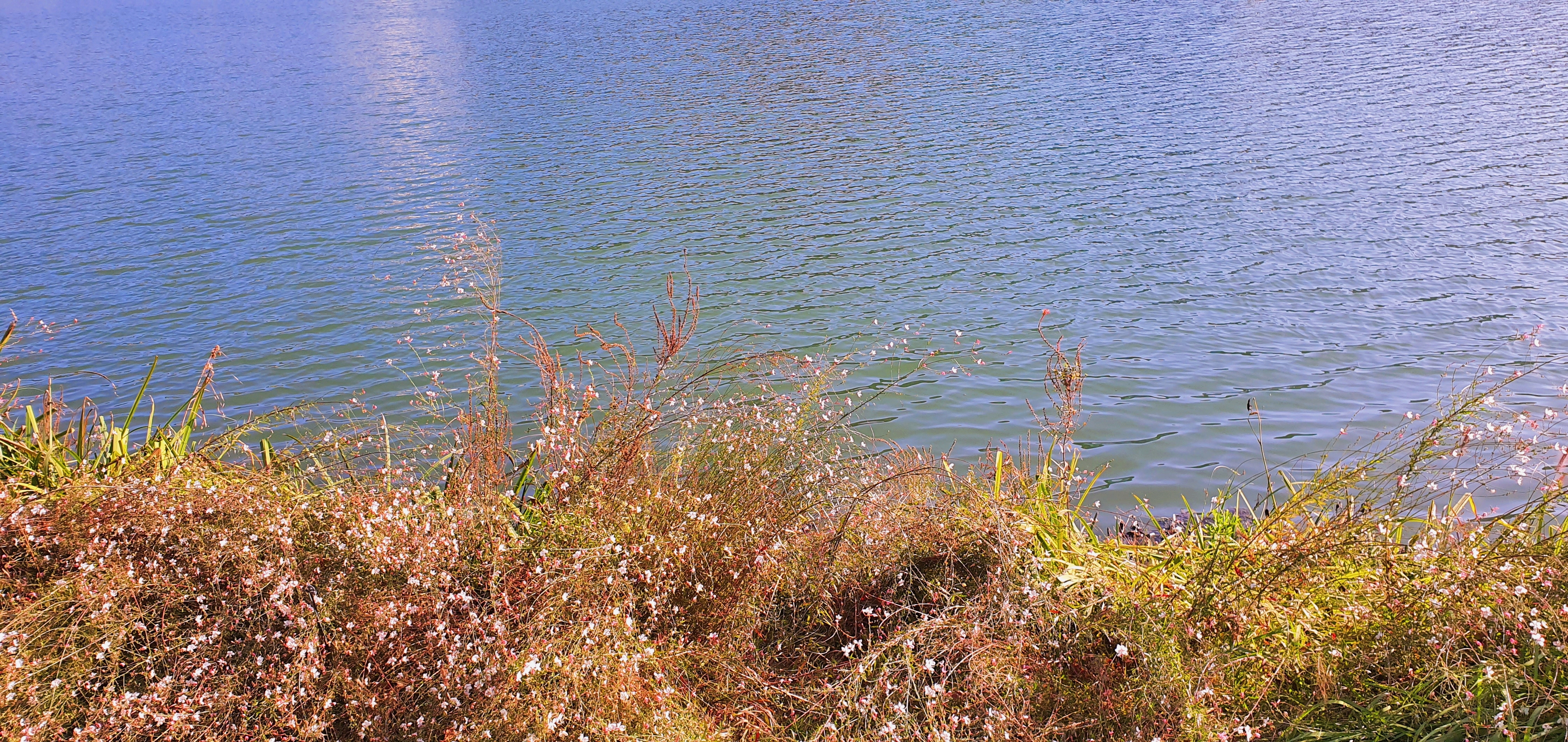 테이블 소개 이미지