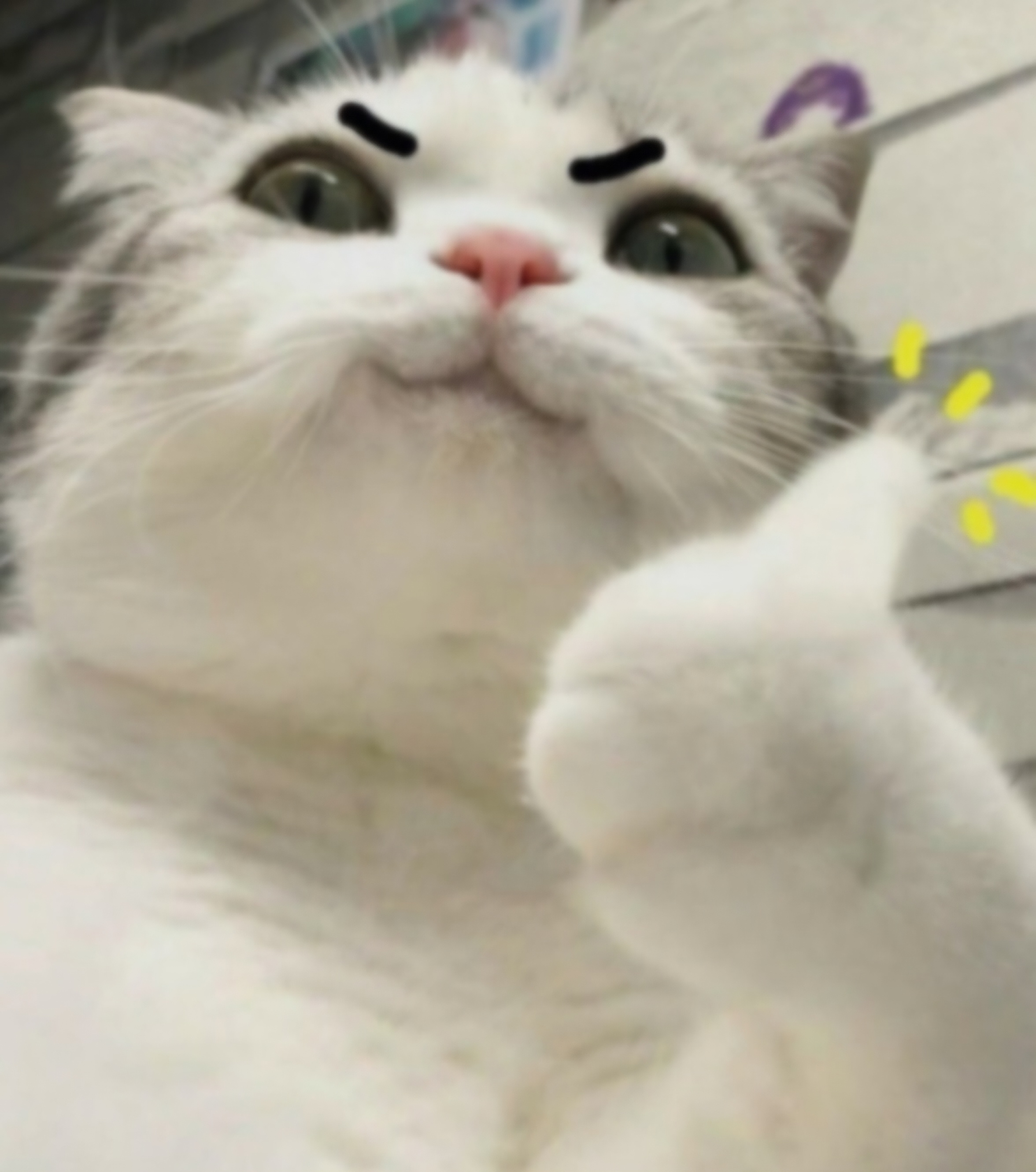 테이블 소개 이미지